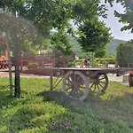 Farm stay Agriturismo Il Timo *