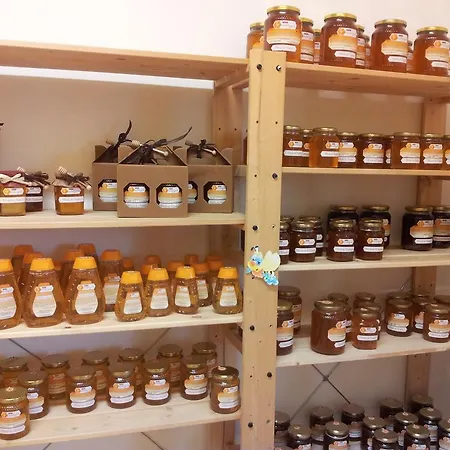 Farm stay Agriturismo Il Timo