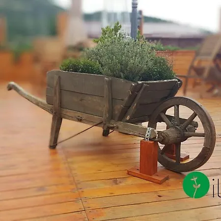 Farm stay Agriturismo Il Timo *