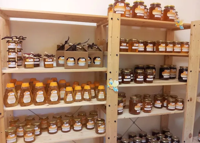 Alloggio per agriturismo Il Timo