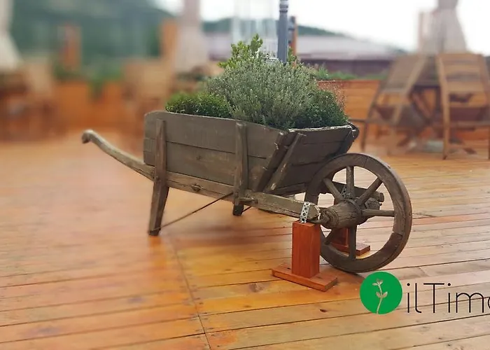 Vakantieboerderij Il Timo *