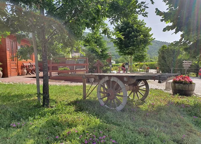 Vakantieboerderij Il Timo *